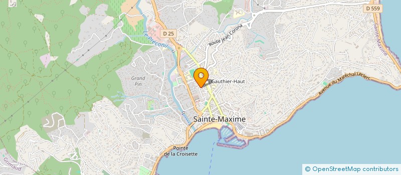localisation de l'entreprise MONSIEUR RONY EL HELOU à SAINTE-MAXIME