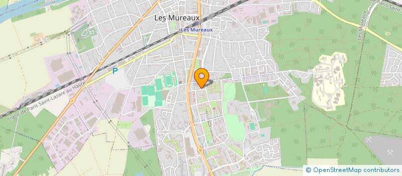 localisation de l'entreprise MONSIEUR ROUSTAM IZRAILOV à LES MUREAUX