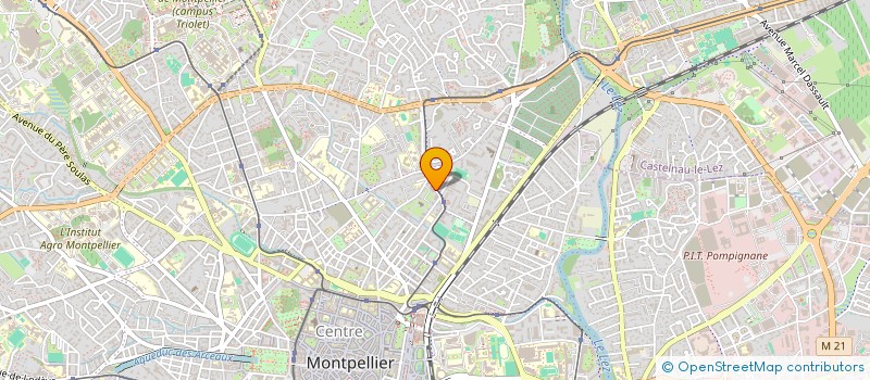 localisation de l'entreprise MONSIEUR RUBEN DARMON  MONTPELLIER