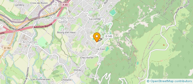 localisation de l'entreprise MONSIEUR RUBEN DE ALMEIDA DIAS  COLLONGES-SOUS-SALEVE