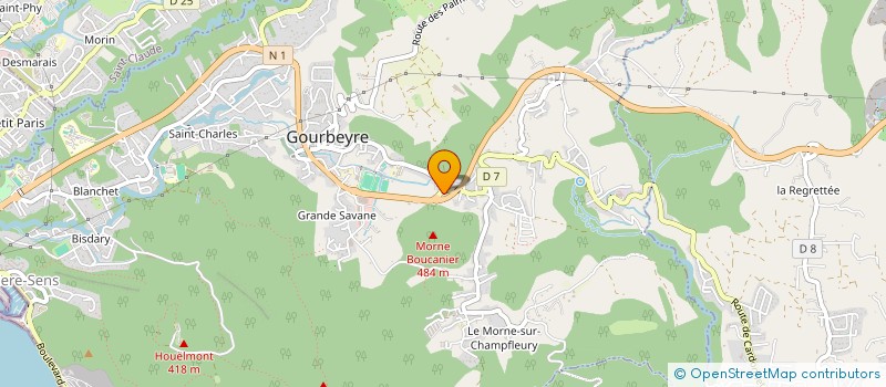localisation de l'entreprise MONSIEUR RUDDY CELESTE à GOURBEYRE