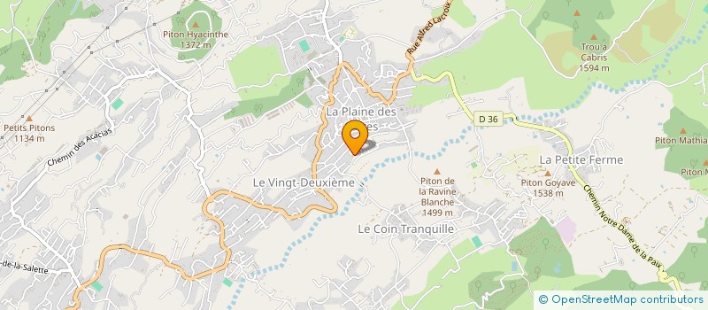 localisation de l'entreprise MONSIEUR RUDDY POTHIN  LE TAMPON