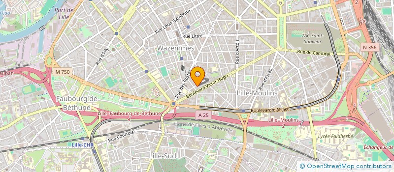 localisation de l'entreprise MONSIEUR RUDY E SILVA à LILLE