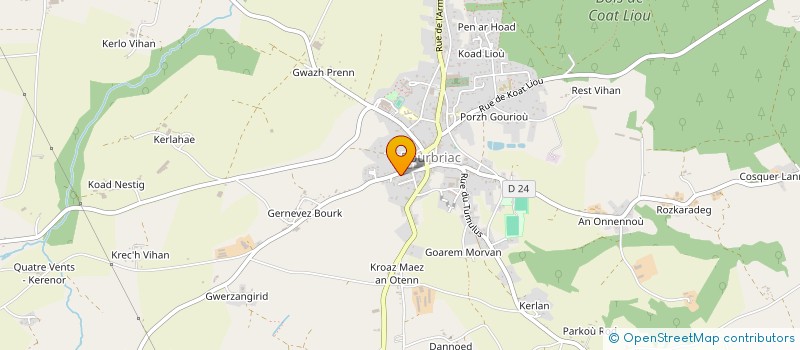 localisation de l'entreprise MONSIEUR RUDY LE DIOURON  BOURBRIAC