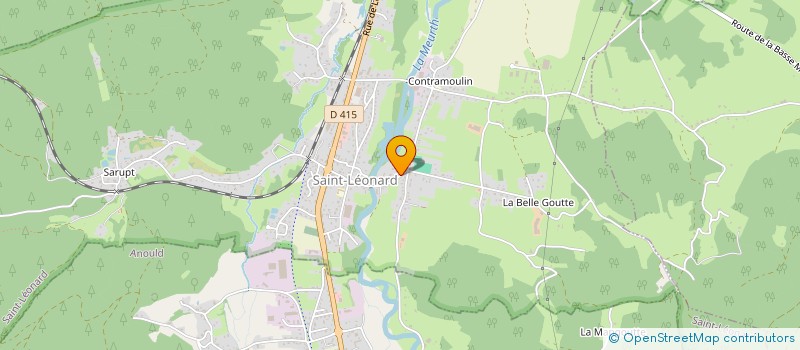 localisation de l'entreprise MONSIEUR RUDY MICHEL  SAINT-LEONARD