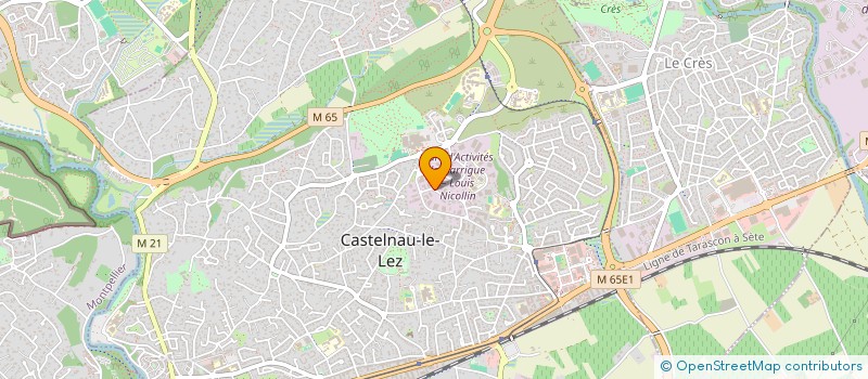 localisation de l'entreprise MONSIEUR RUDY MONTIEL à CASTELNAU-LE-LEZ