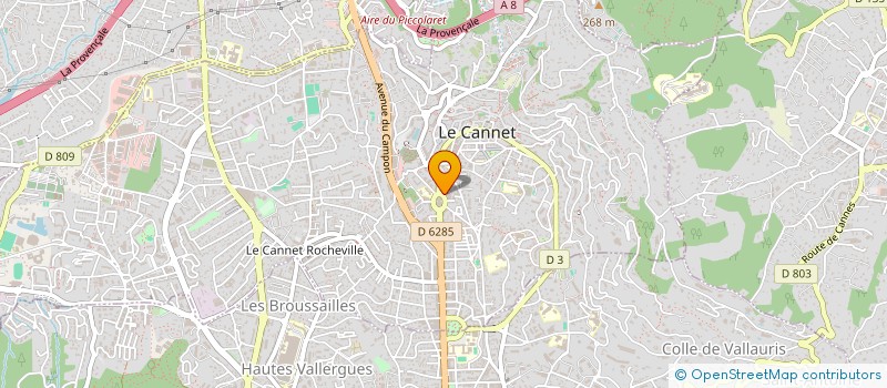 localisation de l'entreprise MONSIEUR RUDY ZUBOVIC à LE CANNET