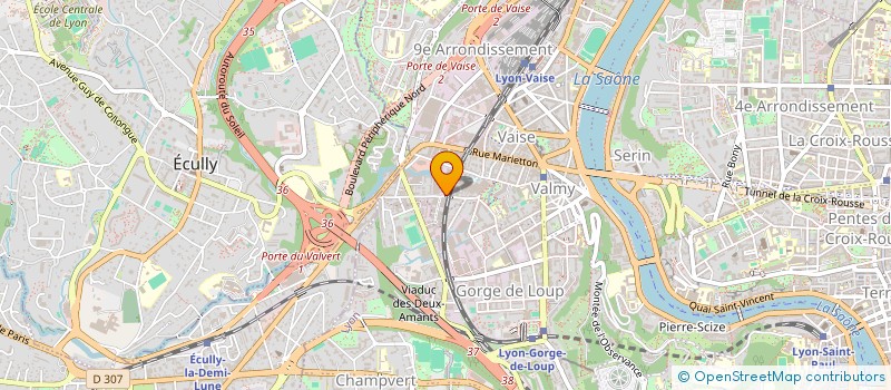 localisation de l'entreprise MONSIEUR RUI DA COSTA PEREIRA  VENISSIEUX