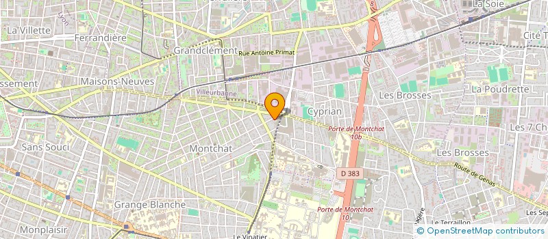 localisation de l'entreprise MONSIEUR RUI DA SILVA AFONSO  LYON