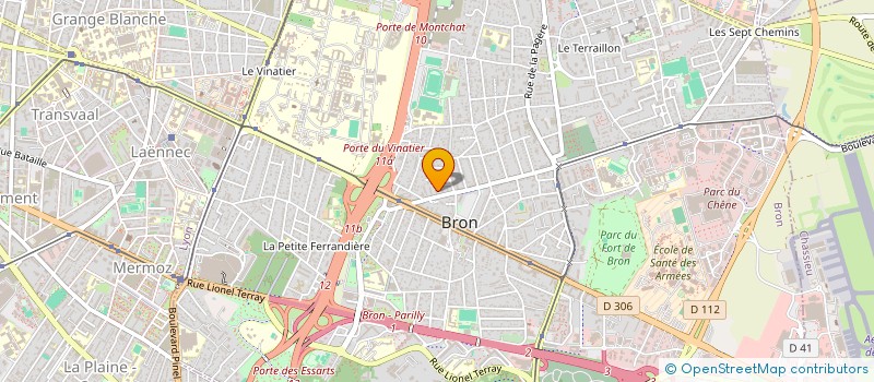 localisation de l'entreprise MONSIEUR RUI DE ALMEIDA PEREIRA à BRON