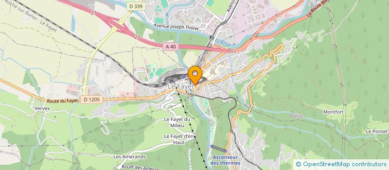 localisation de l'entreprise MONSIEUR RUI FERNANDES DE CARVALHO  SAINT-GERVAIS-LES-BAINS