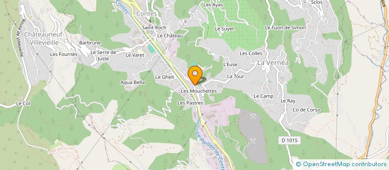 localisation de l'entreprise MONSIEUR RUI LOPES SILVA  CONTES