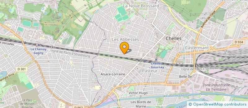 localisation de l'entreprise MONSIEUR RUI MIGUEL AZEVEDO GOUVEIA  CHELLES