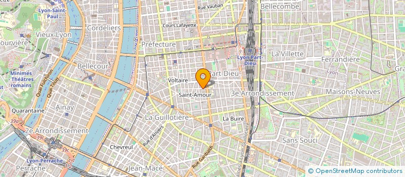 localisation de l'entreprise MONSIEUR RUI REBELO  LYON