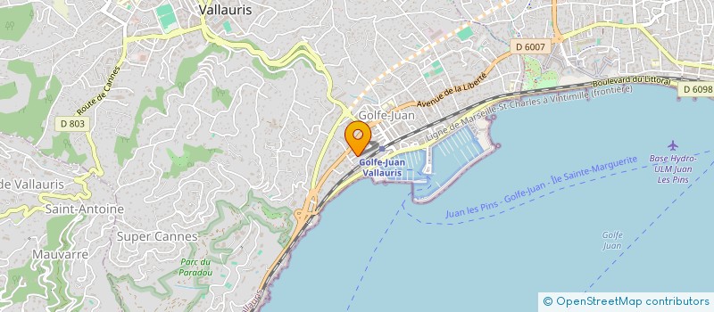 localisation de l'entreprise MONSIEUR RUI RODRIGUES VIEGAS  VALLAURIS