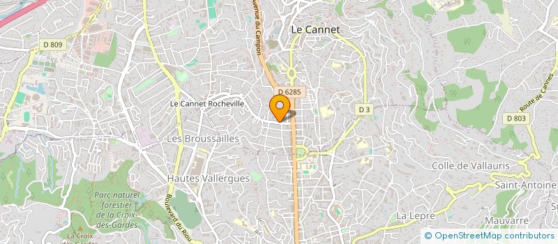 localisation de l'entreprise MONSIEUR RUI TAVARES  LE CANNET
