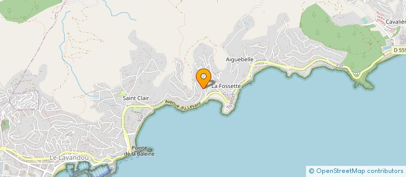 localisation de l'entreprise MONSIEUR RUSLAN BODNAR à LE LAVANDOU