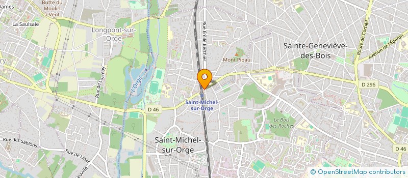 localisation de l'entreprise MONSIEUR RUSLAN KILIIANU  SAINT-MICHEL-SUR-ORGE