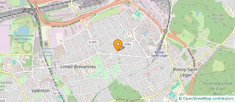 localisation de l'entreprise MONSIEUR RUSLAN NACU  LIMEIL-BREVANNES