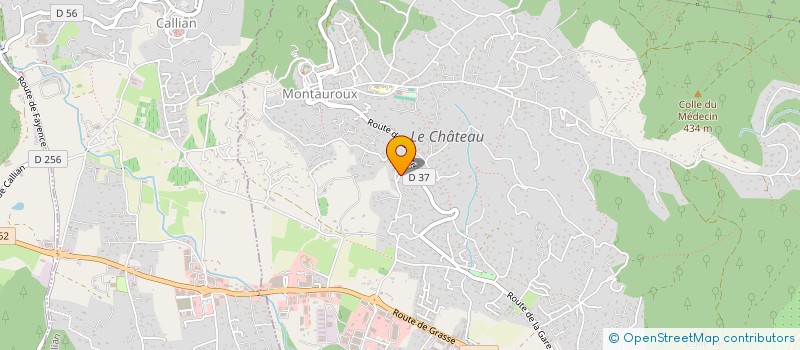 localisation de l'entreprise MONSIEUR RUSLAN NAZAROV  MONTAUROUX