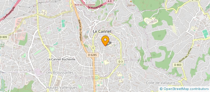 localisation de l'entreprise MONSIEUR RYAN RABENDA à LE CANNET