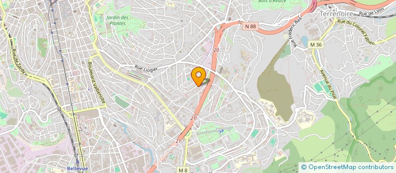 localisation de l'entreprise MONSIEUR RYAN SCHELLEKENS  SAINT-ETIENNE