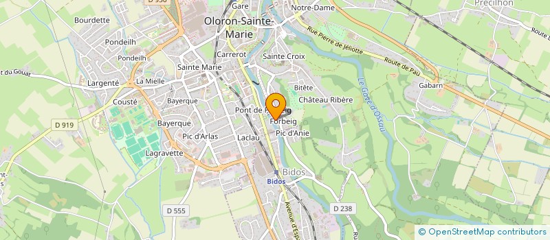 localisation de l'entreprise MONSIEUR RYAN SEVERAN  OLORON-SAINTE-MARIE