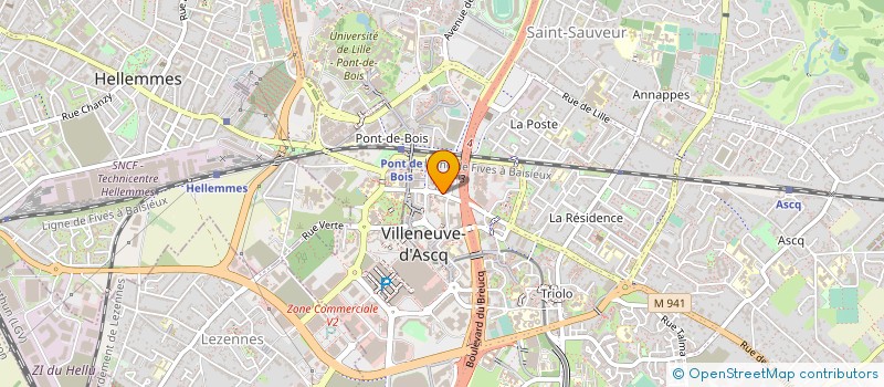 localisation de l'entreprise MONSIEUR RYDOINNE THIEFFRY  VILLENEUVE-D'ASCQ