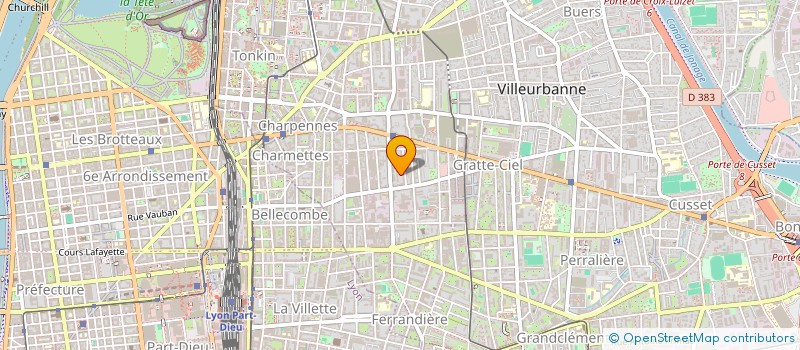 localisation de l'entreprise MONSIEUR SAAD BENGOUA à VILLEURBANNE