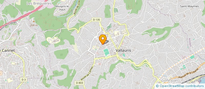 localisation de l'entreprise MONSIEUR SABER GHOUILI  VALLAURIS