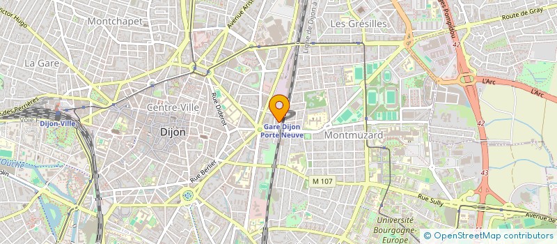 localisation de l'entreprise MONSIEUR SABRI CHALAL ROGNERUD  DIJON