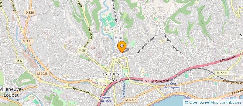 localisation de l'entreprise MONSIEUR SABRI ZORRIG à CAGNES-SUR-MER