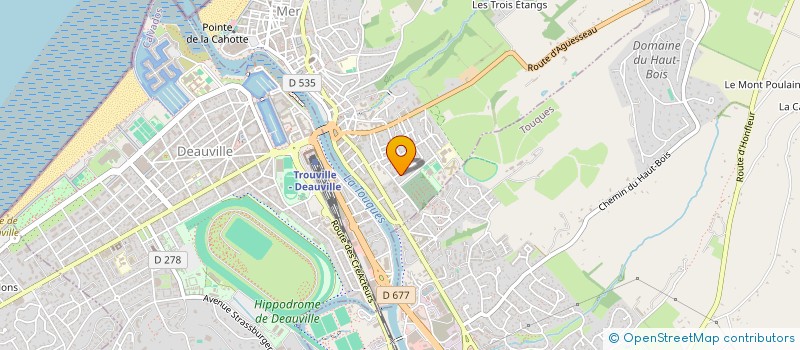 localisation de l'entreprise MONSIEUR SACHA BRODEUR  TROUVILLE-SUR-MER