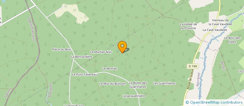 localisation de l'entreprise MONSIEUR SACHA MOLESINI  BOURGUEIL