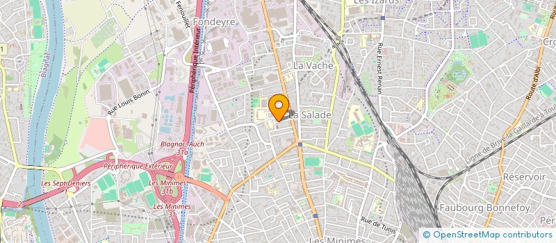 localisation de l'entreprise MONSIEUR SACHA PETRYSZYN  TOULOUSE