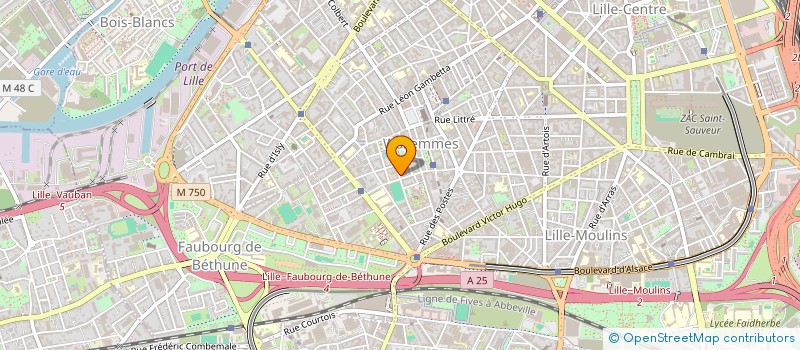 localisation de l'entreprise MONSIEUR SACHA PIGACHE à LILLE