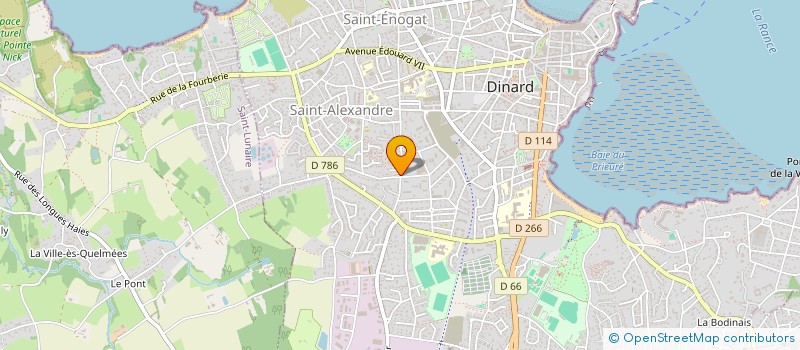 localisation de l'entreprise MONSIEUR SACHA STEFANOVIC  DINARD