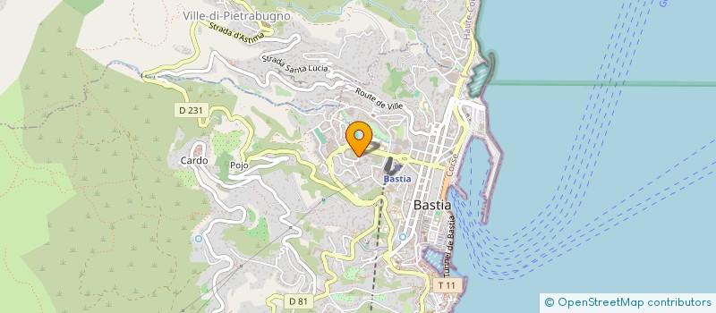 localisation de l'entreprise MONSIEUR SADDRO RUBEN DIAS à BASTIA