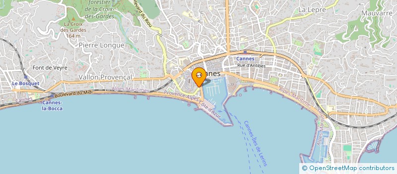 localisation de l'entreprise MONSIEUR SADOK HAMJLA  CANNES