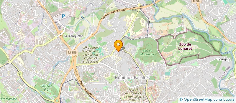 localisation de l'entreprise MONSIEUR SAFIR NACIRI  MONTPELLIER