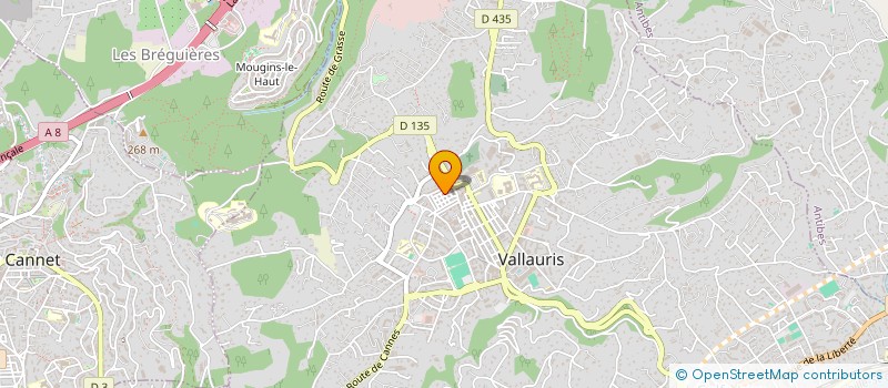 localisation de l'entreprise MONSIEUR SAFOUANE KECHICHE à VALLAURIS