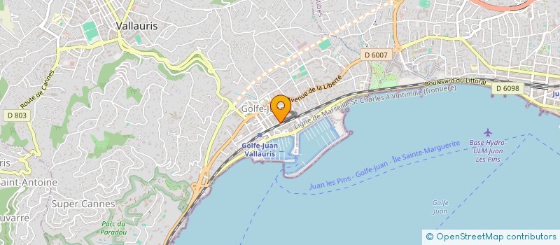 localisation de l'entreprise MONSIEUR SAHBI BAILI  VALLAURIS