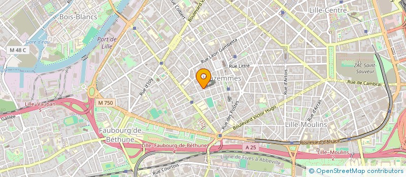 localisation de l'entreprise MONSIEUR SAID AZDOU à LILLE