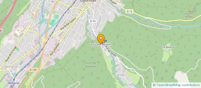 localisation de l'entreprise MONSIEUR SAID BENRAYYAN à OYONNAX