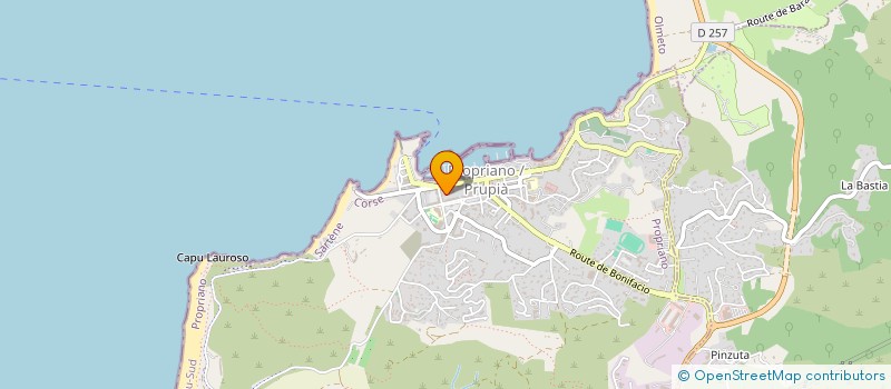 localisation de l'entreprise MONSIEUR SAID EGER  PROPRIANO