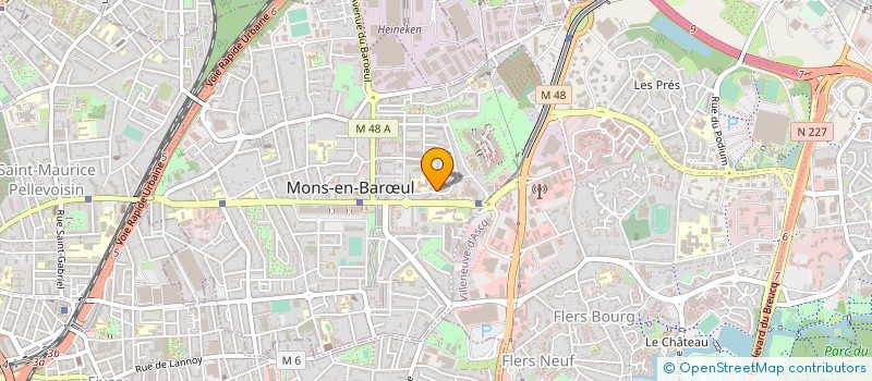 localisation de l'entreprise MONSIEUR SAID HOSSAINY  MONS-EN-BARUL