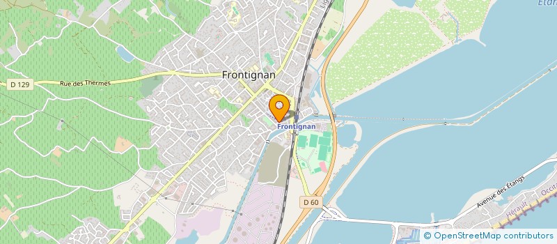 localisation de l'entreprise MONSIEUR SAID MOUHIB à FRONTIGNAN