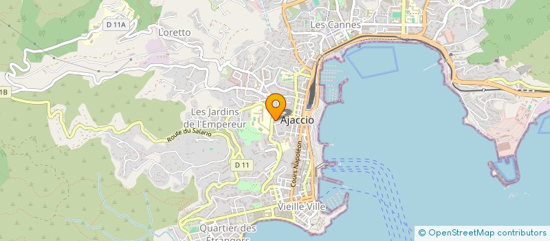 localisation de l'entreprise MONSIEUR SAID NIBOU à AJACCIO