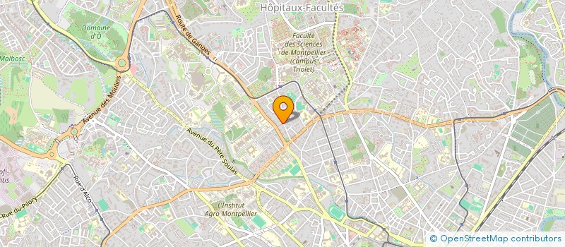 localisation de l'entreprise MONSIEUR SAID ZAHIR RASULI à MONTPELLIER