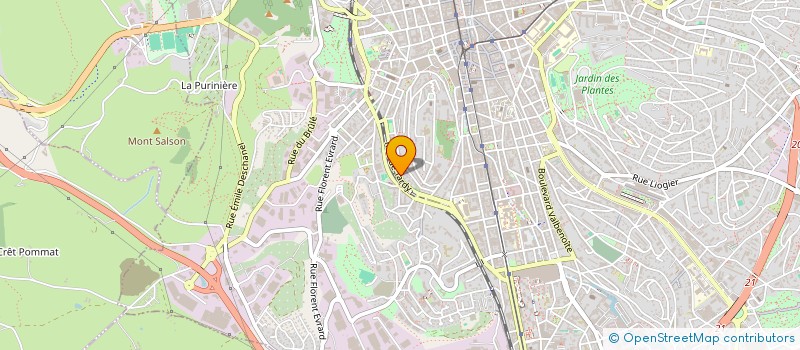 localisation de l'entreprise MONSIEUR SAIDOU DIALLO  SAINT-ETIENNE